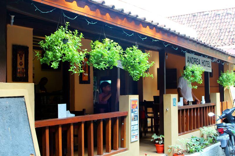 Guest house Andrea 2*